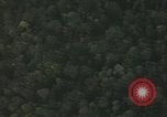Image of air strike missions Southeast Asia, 1967, second 22 stock footage video 65675057967