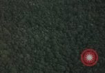 Image of air strike missions Southeast Asia, 1967, second 46 stock footage video 65675057967