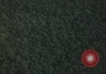 Image of air strike missions Southeast Asia, 1967, second 47 stock footage video 65675057967