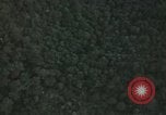 Image of air strike missions Southeast Asia, 1967, second 49 stock footage video 65675057967