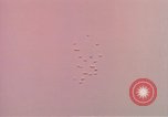 Image of air strike missions Southeast Asia, 1967, second 13 stock footage video 65675057972