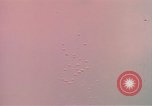 Image of air strike missions Southeast Asia, 1967, second 14 stock footage video 65675057972