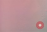 Image of air strike missions Southeast Asia, 1967, second 15 stock footage video 65675057972