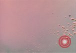 Image of air strike missions Southeast Asia, 1967, second 17 stock footage video 65675057972