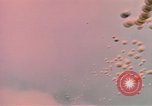 Image of air strike missions Southeast Asia, 1967, second 18 stock footage video 65675057972