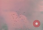Image of air strike missions Southeast Asia, 1967, second 22 stock footage video 65675057972