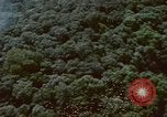 Image of air strike missions Southeast Asia, 1967, second 39 stock footage video 65675057972