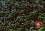 Image of air strike missions Southeast Asia, 1967, second 46 stock footage video 65675057972