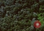 Image of air strike missions Southeast Asia, 1967, second 48 stock footage video 65675057972