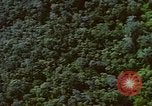 Image of air strike missions Southeast Asia, 1967, second 52 stock footage video 65675057972
