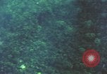 Image of air strike missions Southeast Asia, 1967, second 24 stock footage video 65675057973