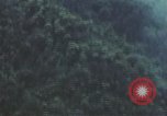 Image of air strike missions Southeast Asia, 1967, second 57 stock footage video 65675057973