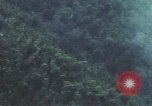 Image of air strike missions Southeast Asia, 1967, second 58 stock footage video 65675057973