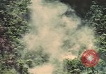 Image of air strike missions Southeast Asia, 1967, second 38 stock footage video 65675057975