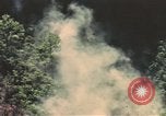 Image of air strike missions Southeast Asia, 1967, second 39 stock footage video 65675057975