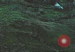 Image of air strike missions Southeast Asia, 1967, second 33 stock footage video 65675057977