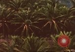 Image of air strike missions Southeast Asia, 1967, second 7 stock footage video 65675057979