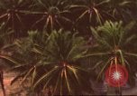 Image of air strike missions Southeast Asia, 1967, second 8 stock footage video 65675057979