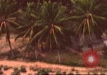 Image of air strike missions Southeast Asia, 1967, second 9 stock footage video 65675057979