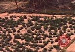 Image of air strike missions Southeast Asia, 1967, second 11 stock footage video 65675057979