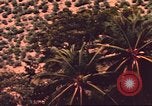 Image of air strike missions Southeast Asia, 1967, second 16 stock footage video 65675057979