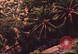 Image of air strike missions Southeast Asia, 1967, second 17 stock footage video 65675057979
