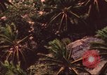 Image of air strike missions Southeast Asia, 1967, second 18 stock footage video 65675057979