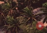 Image of air strike missions Southeast Asia, 1967, second 19 stock footage video 65675057979