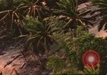Image of air strike missions Southeast Asia, 1967, second 20 stock footage video 65675057979