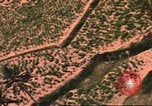Image of air strike missions Southeast Asia, 1967, second 32 stock footage video 65675057979