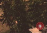 Image of air strike missions Southeast Asia, 1967, second 22 stock footage video 65675057980