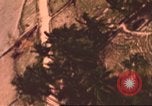 Image of air strike missions Southeast Asia, 1967, second 37 stock footage video 65675057980