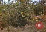 Immagine di 49della brigata di fanteria Binh Phuoc Vietnam, 1970, secondo 10 filmato di repertorio 65675057982