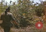 Immagine di 49della brigata di fanteria Binh Phuoc Vietnam, 1970, secondo 11 filmato di repertorio 65675057982