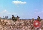 Immagine di 49della brigata di fanteria Binh Phuoc Vietnam, 1970, secondo 60 filmato di repertorio 65675057982