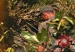 Standbild 49th Infantry Brigade Binh Phuoc Vietnam, 1970, aus Sekunde 16 historischem Filmmaterial Videoclip 65675057983