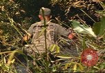 Standbild 49th Infantry Brigade Binh Phuoc Vietnam, 1970, aus Sekunde 25 historischem Filmmaterial Videoclip 65675057983