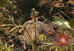 Standbild 49th Infantry Brigade Binh Phuoc Vietnam, 1970, aus Sekunde 26 historischem Filmmaterial Videoclip 65675057983
