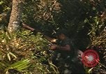 Standbild 49th Infantry Brigade Binh Phuoc Vietnam, 1970, aus Sekunde 32 historischem Filmmaterial Videoclip 65675057983