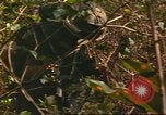 Standbild 49th Infantry Brigade Binh Phuoc Vietnam, 1970, aus Sekunde 44 historischem Filmmaterial Videoclip 65675057983