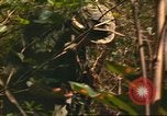Standbild 49th Infantry Brigade Binh Phuoc Vietnam, 1970, aus Sekunde 45 historischem Filmmaterial Videoclip 65675057983