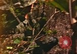 Standbild 49th Infantry Brigade Binh Phuoc Vietnam, 1970, aus Sekunde 47 historischem Filmmaterial Videoclip 65675057983