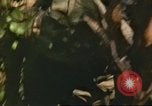 Standbild 49th Infantry Brigade Binh Phuoc Vietnam, 1970, aus Sekunde 52 historischem Filmmaterial Videoclip 65675057983