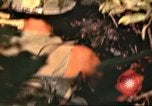 Standbild 49th Infantry Brigade Binh Phuoc Vietnam, 1970, aus Sekunde 53 historischem Filmmaterial Videoclip 65675057983