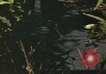 Standbild 49th Infantry Brigade Binh Phuoc Vietnam, 1970, aus Sekunde 56 historischem Filmmaterial Videoclip 65675057983