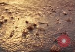 Immagine di 49della brigata di fanteria Binh Phuoc Vietnam, 1970, secondo 16 filmato di repertorio 65675057985