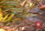 Standbild 60 Infanterie Regiment Rach Kien Vietnam, 1970, aus Sekunde 10 historischem Filmmaterial Videoclip 65675057987