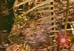 Standbild 60 Infanterie Regiment Rach Kien Vietnam, 1970, aus Sekunde 11 historischem Filmmaterial Videoclip 65675057987