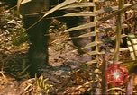 Standbild 60 Infanterie Regiment Rach Kien Vietnam, 1970, aus Sekunde 13 historischem Filmmaterial Videoclip 65675057987