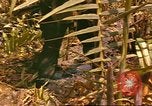 Standbild 60 Infanterie Regiment Rach Kien Vietnam, 1970, aus Sekunde 14 historischem Filmmaterial Videoclip 65675057987